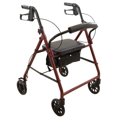 ProBasics Steel Rollator, 6" Wheels